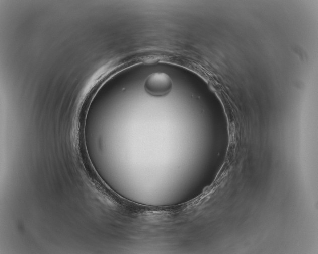 X0000114150150200910151552