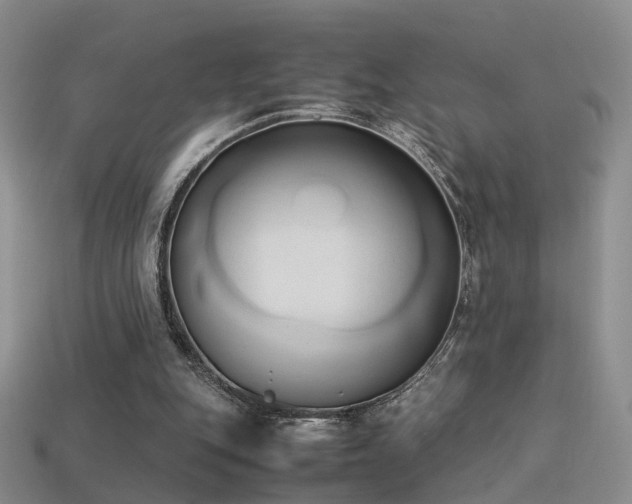 X0000114150151200910151552