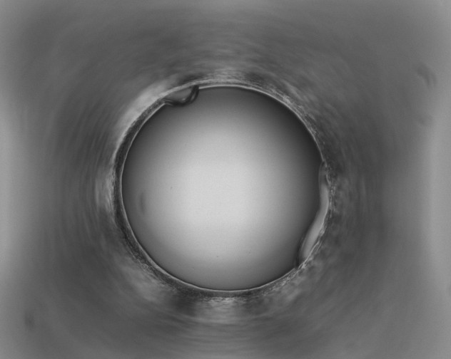 X0000114150152200910151552