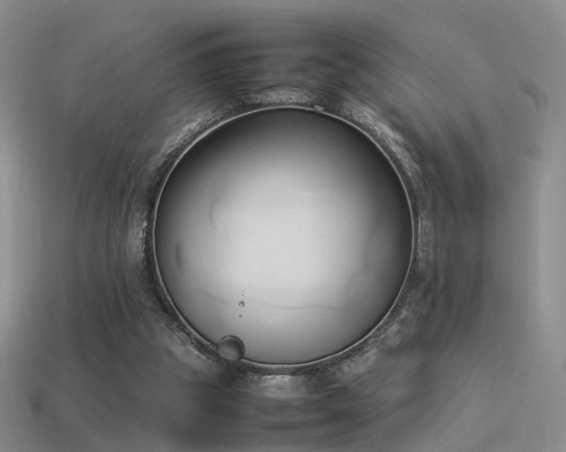 X0000114150153200910151552