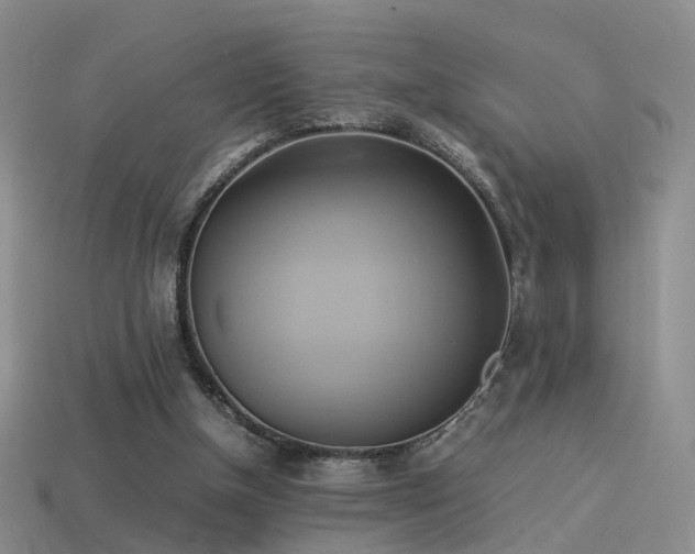 X0000114150154200910151552