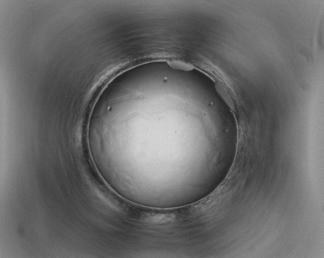 X0000114150155200910151552