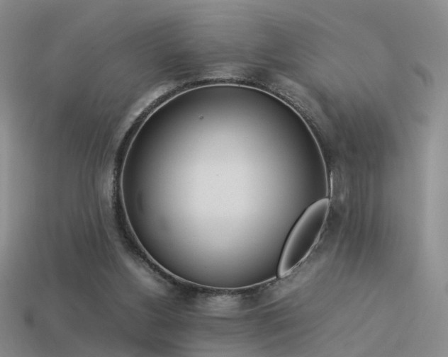 X0000114150156200910151552