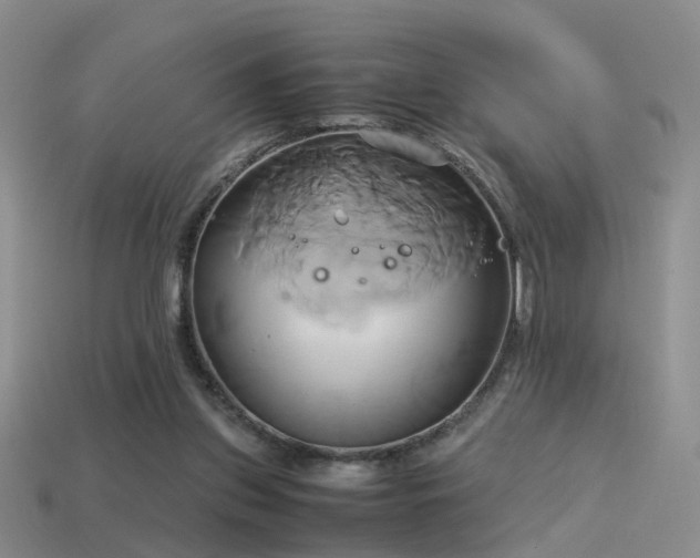 X0000114150157200910151552