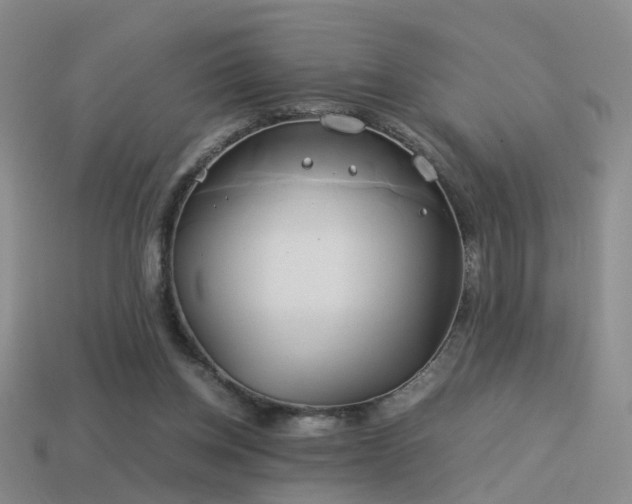 X0000114150158200910151552