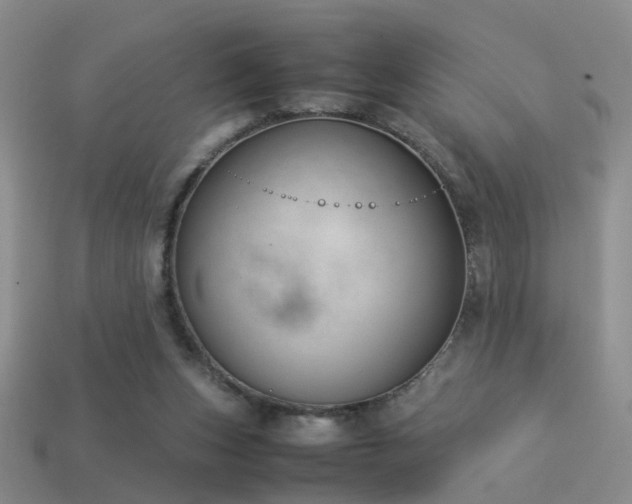 X0000114150159200910151552