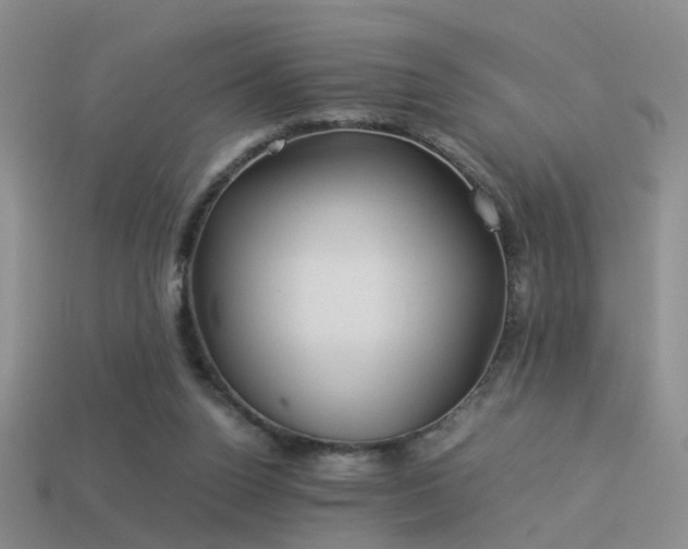 X0000114150160200910151552