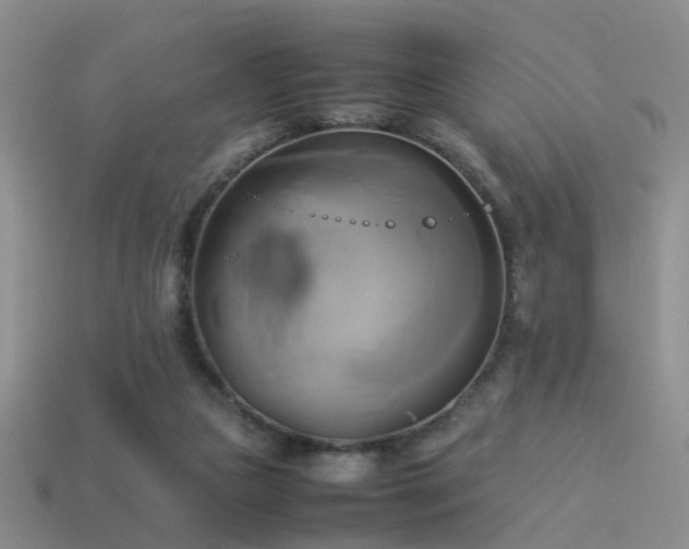 X0000114150161200910151552