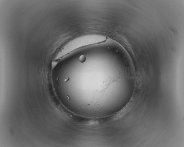 X0000114150162200910151552