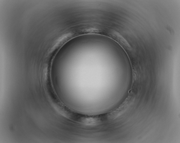 X0000114150163200910151552