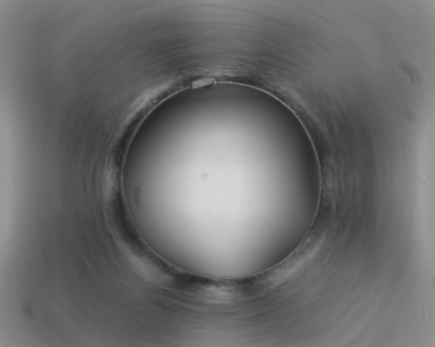 X0000114150164200910151552