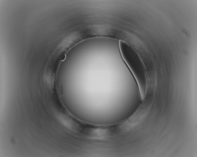 X0000114150168200910151552