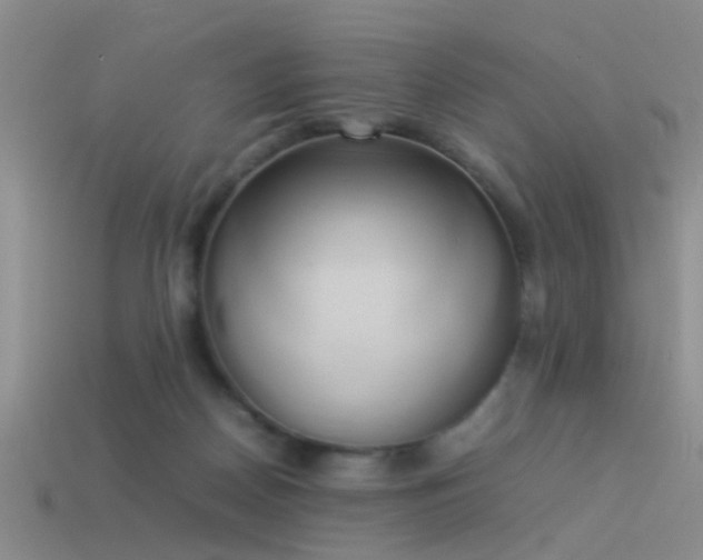 X0000114150170200910151552