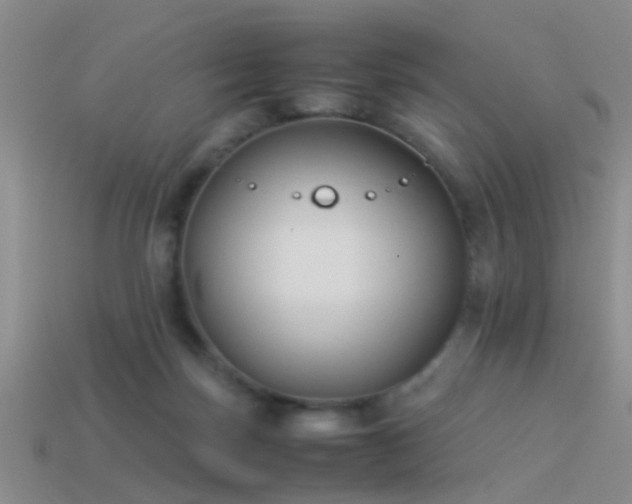 X0000114150171200910151552