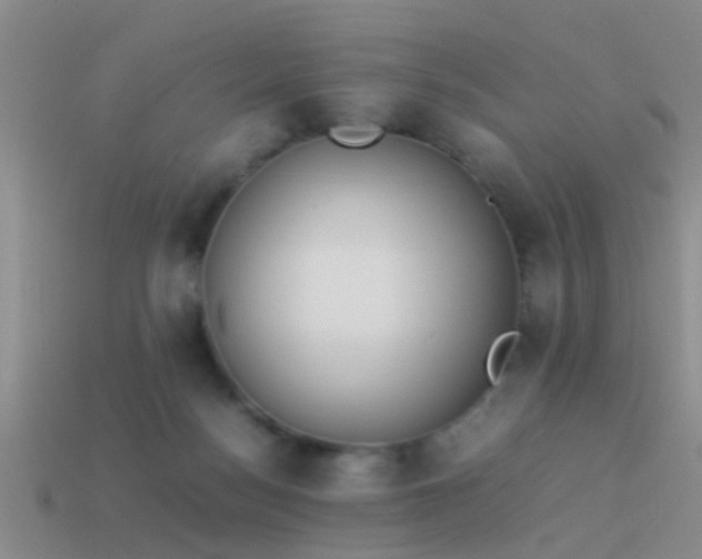 X0000114150172200910151552