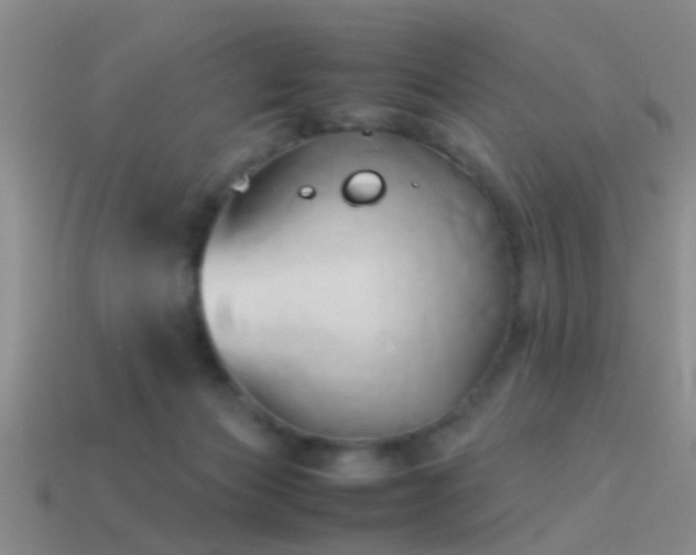 X0000114150173200910151552