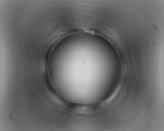 X0000114150174200910151552