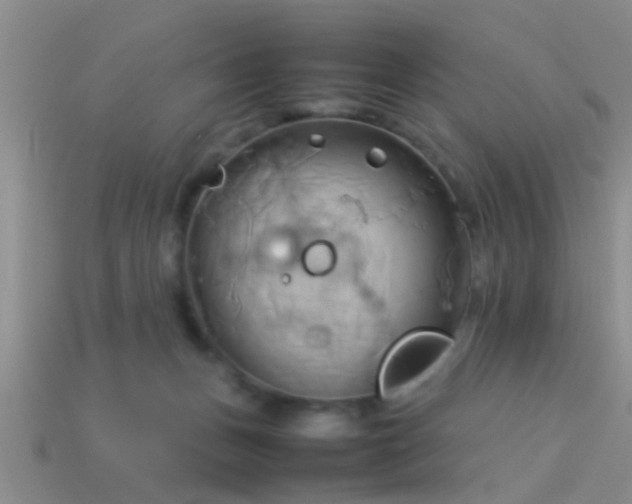 X0000114150175200910151552