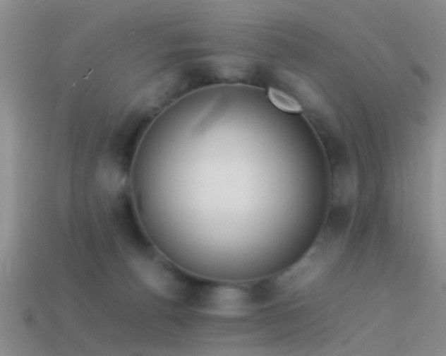 X0000114150176200910151552