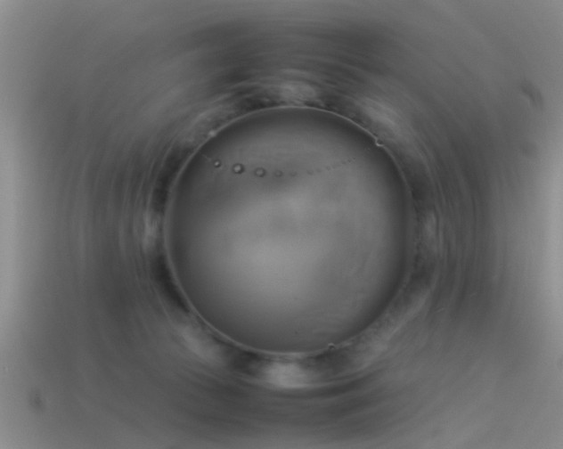 X0000114150177200910151552