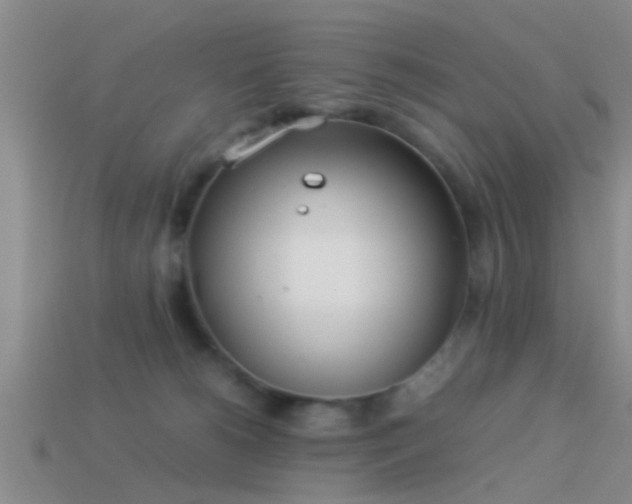 X0000114150180200910151552