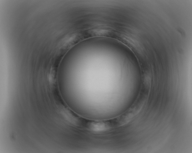 X0000114150181200910151552