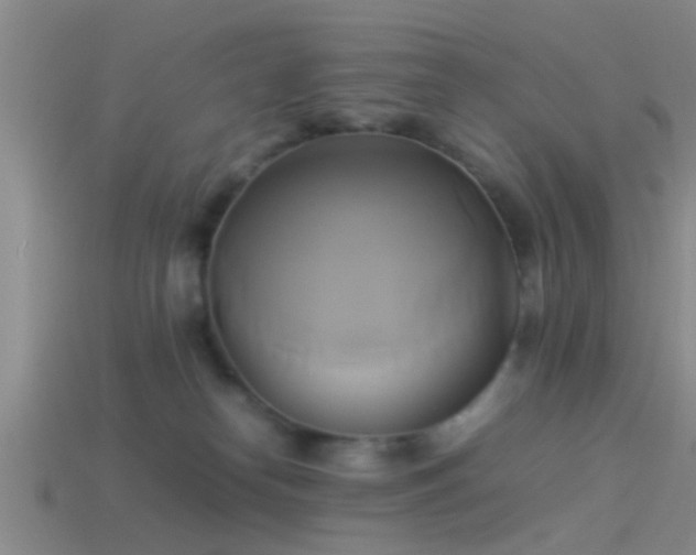 X0000114150182200910151552