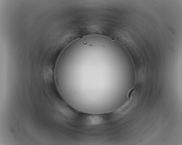 X0000114150183200910151552