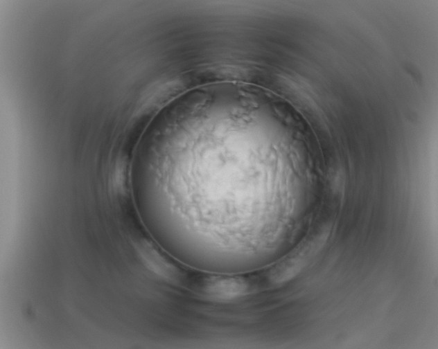 X0000114150185200910151552