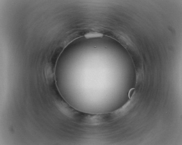 X0000114150186200910151552