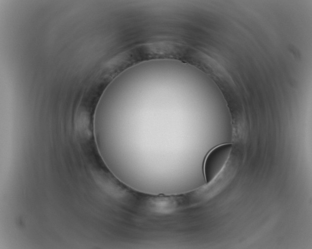 X0000114150187200910151552