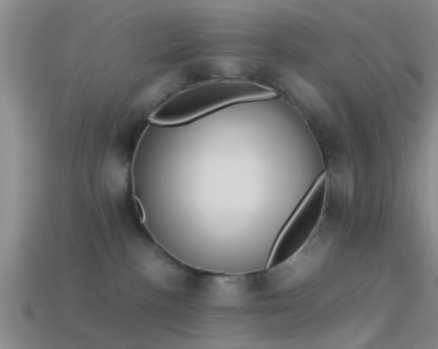 X0000114150188200910151552