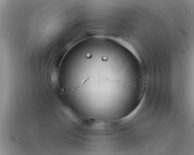 X0000114150190200910151552