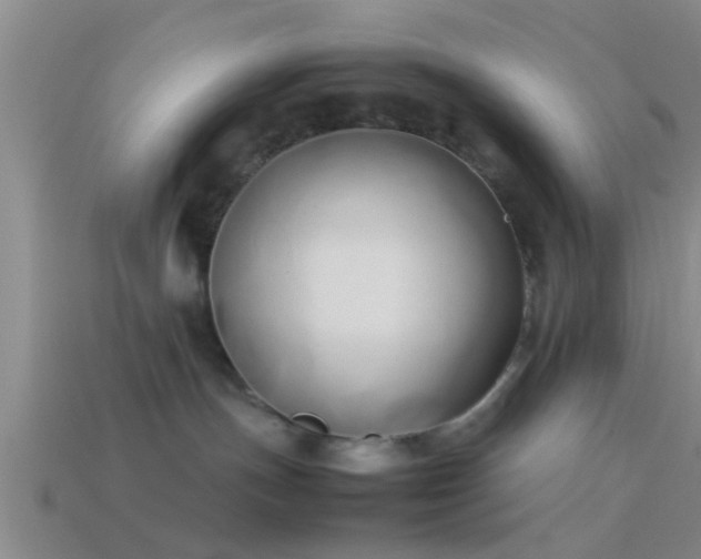 X0000114150191200910151552