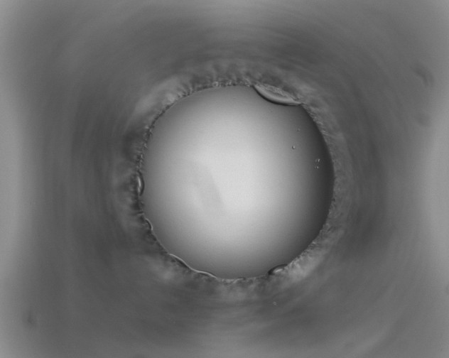 X0000114150192200910151552