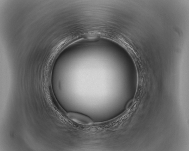 X0000114150193200910151552