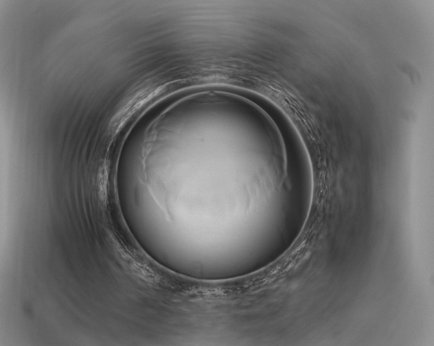 X0000114150194200910151552