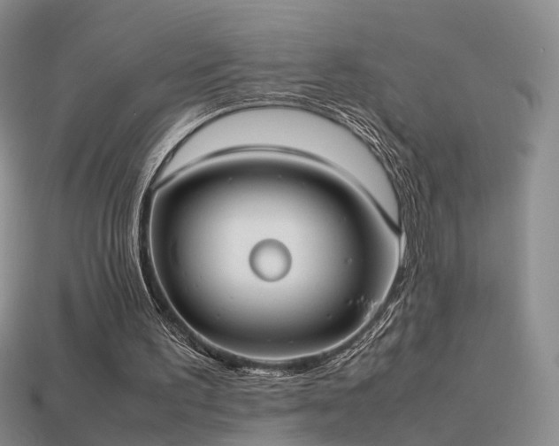 X0000114150195200910151552