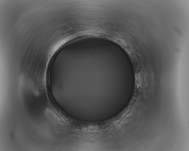 X0000114150196200910151552