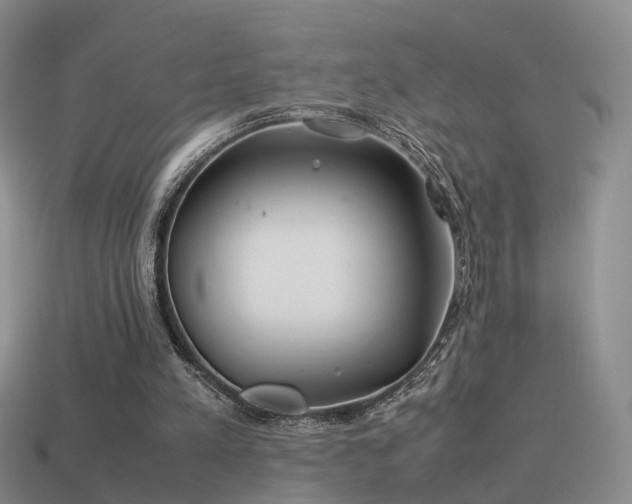 X0000114150197200910151552