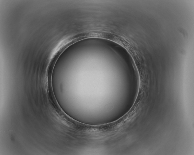 X0000114150198200910151551