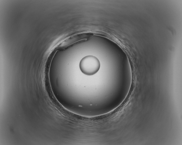 X0000114150199200910151551