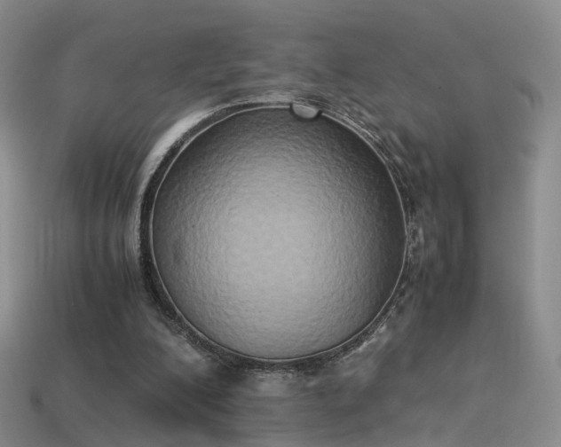 X0000114150200200910151551