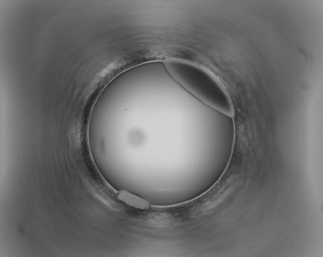 X0000114150203200910151551