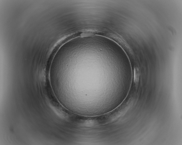 X0000114150204200910151551