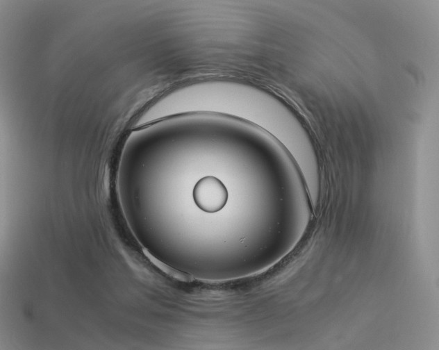 X0000114150205200910151551