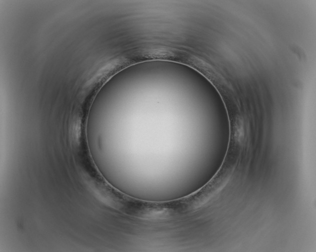 X0000114150206200910151551