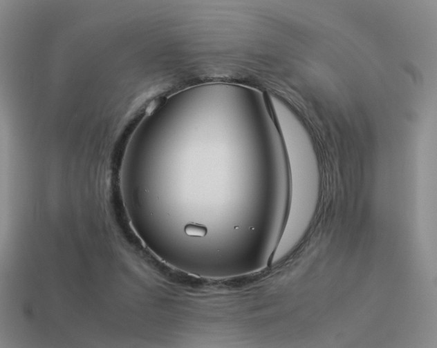 X0000114150207200910151551