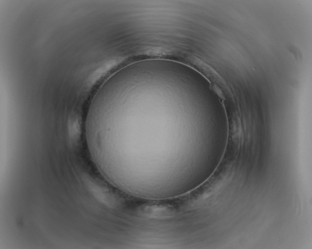 X0000114150208200910151551