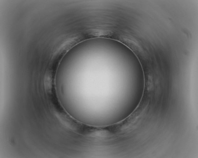 X0000114150210200910151551